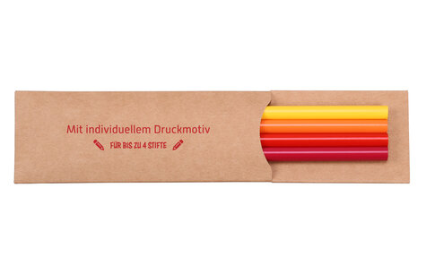 Steck-Etui mit 4 Stiften